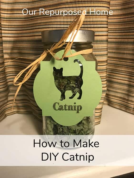 How to Dry Catnip — Made Just For U