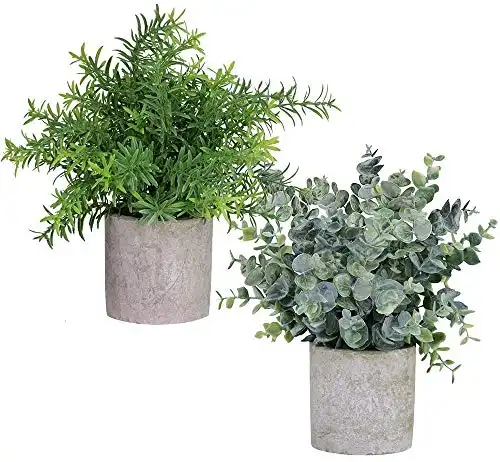 Winlyn 2 Pack Artificial Potted Plants Faux Eucalyptus & Rosemary Greenery in Pots Small Houseplants 8.3"-9" Tall for Indoor Greenery Tabletop Décor Centerpiece