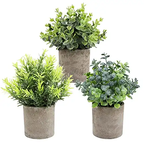 THE BLOOM TIMES Set of 3 Small Potted Artificial Plants Plastic Fake Greenery Faux Plants in Pots for Rustic Home Office Desk Farmhouse Bathroom Kitchen Indoor Decor