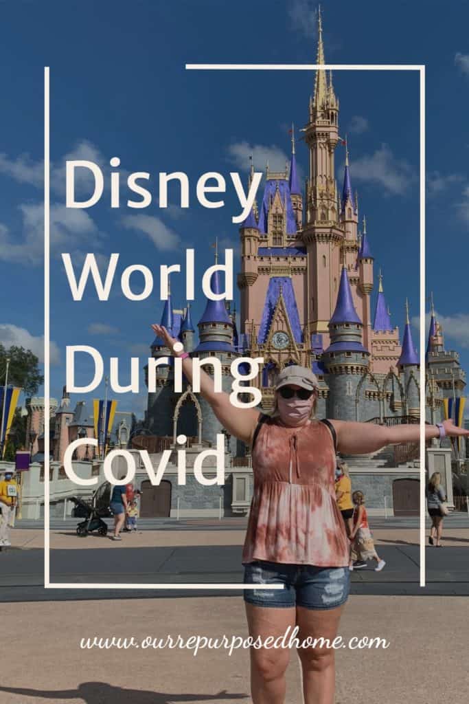 Pinterest Pin about Disney World during Covid